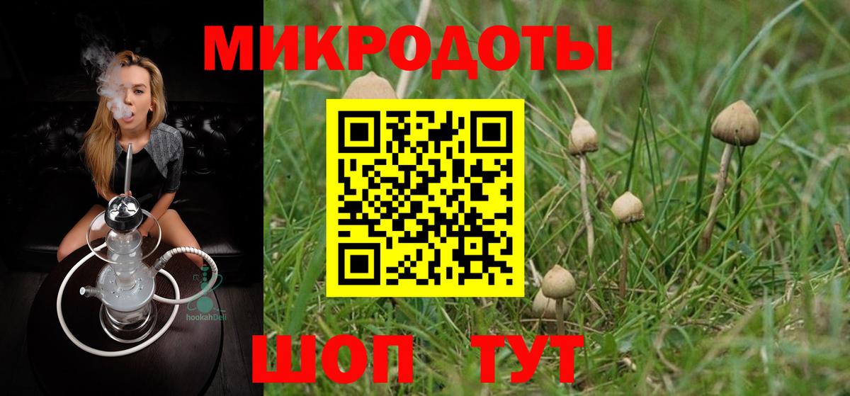 Балашов  Псилоцибиновые грибы Magic Shrooms  купить наркоту  Вход с VPN 